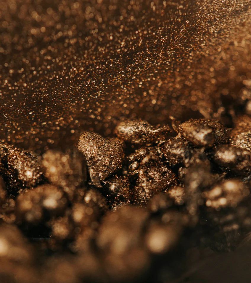 Alchemy Amazonian Ants Chocolate by  To'ak