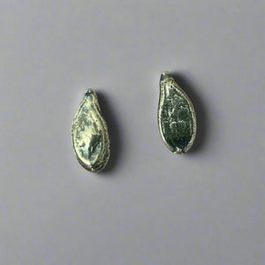 Pumpkin Seed Studs by Sol