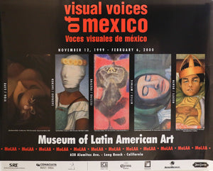 Visual Voices of Mexico Poster