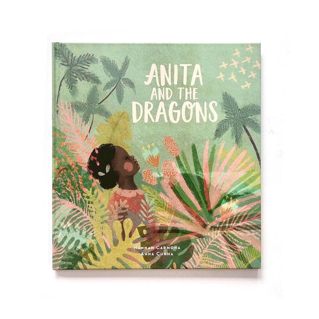 Anita and the Dragons: Diverse & Inclusive